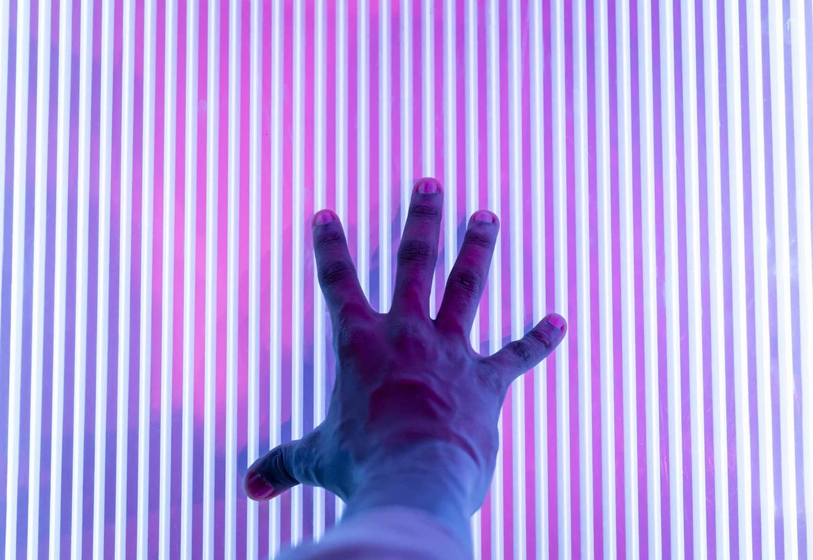 Servicios de apoyo y acciones formativas por Segittur